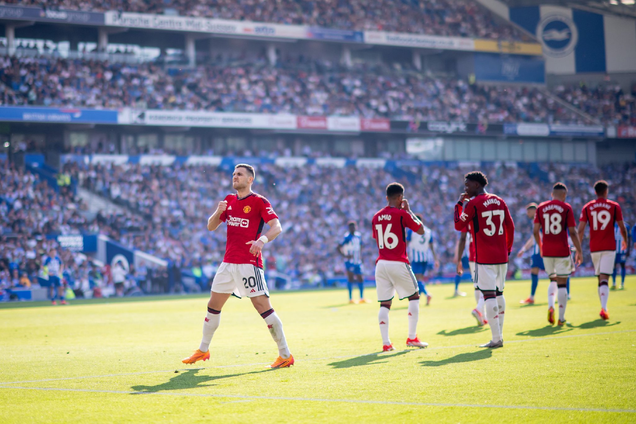 拥有一颗 拥有一颗